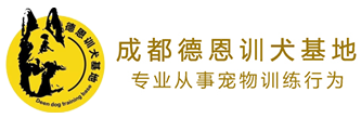  haiteng
